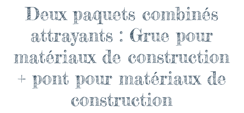 Deux paquets combinés attrayants: Grue pour matériaux de construction + pont pour matériaux de construction