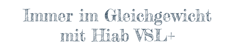 Immer im Gleichgewicht mit Hiab VSL+