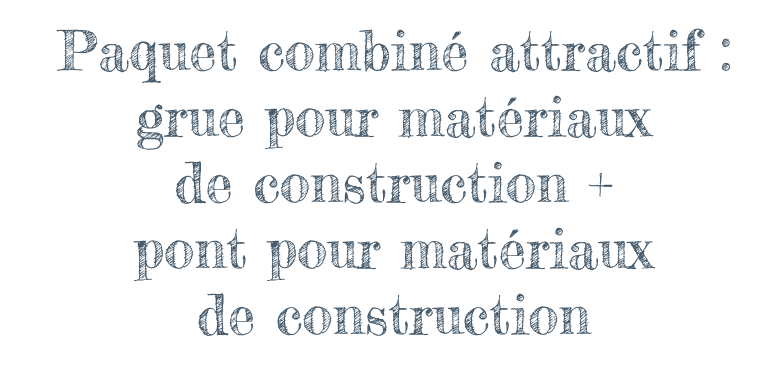 Paquet combiné attractif : grue pour matériaux de construction + pont pour matériaux de construction