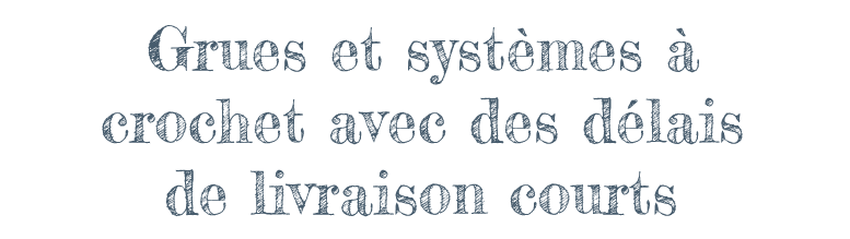 Grues et systèmes à crochet avec des délais de livraison courts