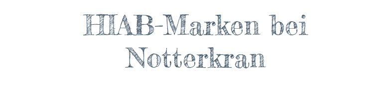 Kundenumfrage 2025 – Schon teilgenommen?