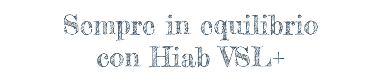 Immer im Gleichgewicht mit Hiab VSL+